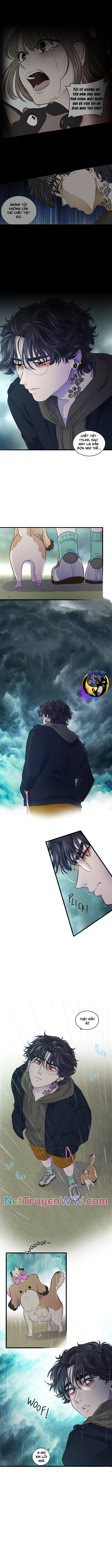 Tình Yêu Dẫn Lối: Chapter 13
