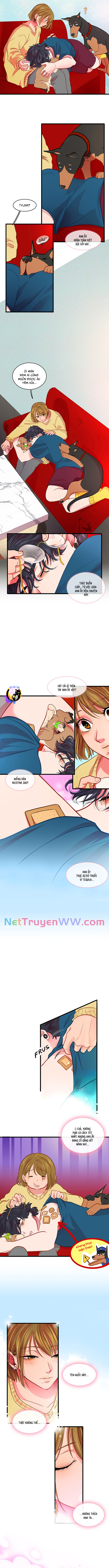 Tình Yêu Dẫn Lối: Chapter 15