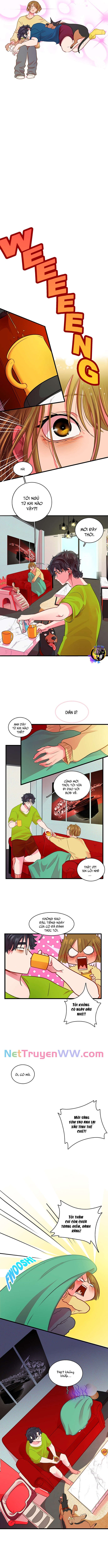 Tình Yêu Dẫn Lối: Chapter 15