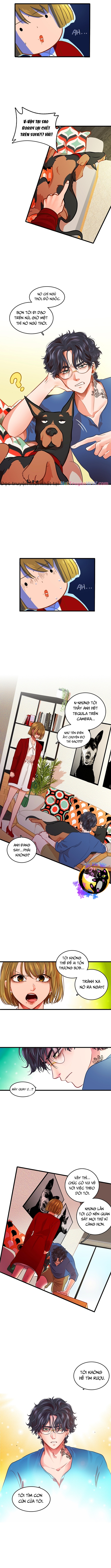 Tình Yêu Dẫn Lối: Chapter 2