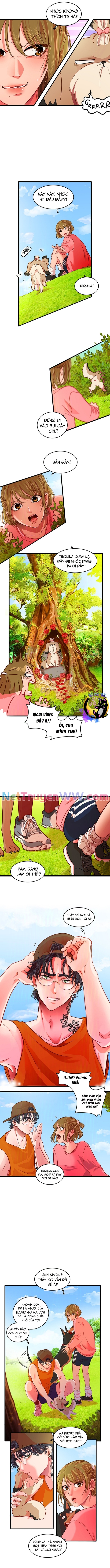 Tình Yêu Dẫn Lối: Chapter 8