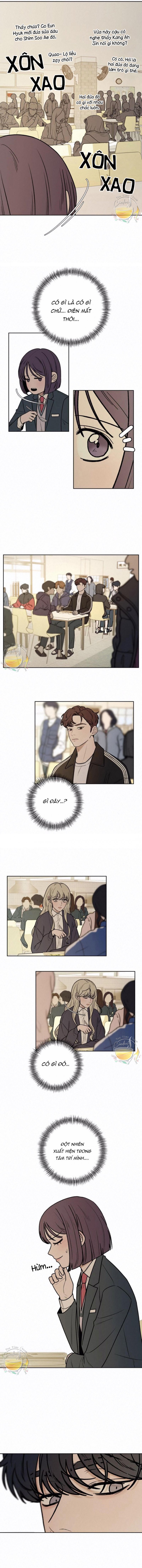 Tình Yêu Trong Sáng: Chapter 16.5