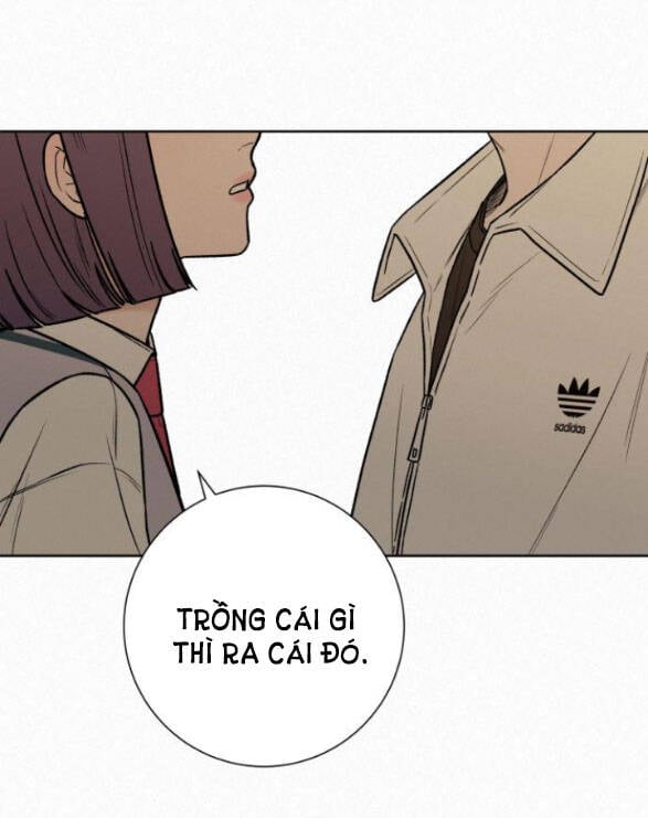 Tình Yêu Trong Sáng: Chapter 25.2