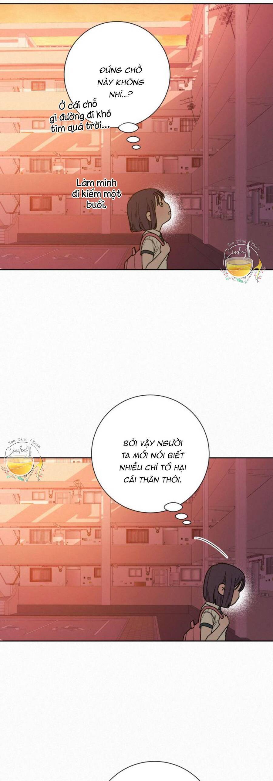 Tình Yêu Trong Sáng: Chapter 53