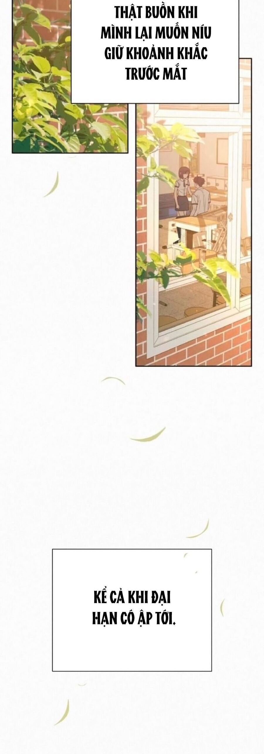 Tình Yêu Trong Sáng: Chapter 72