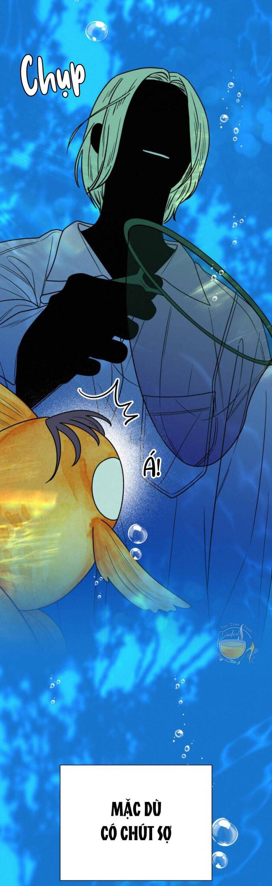 Tình Yêu Trong Sáng: Chapter 78