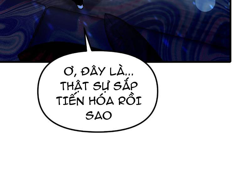 Toàn Cầu Ngự Thú: Ta Có Thể Thấy Lộ Tuyến Tiến Hoá: Chapter 1