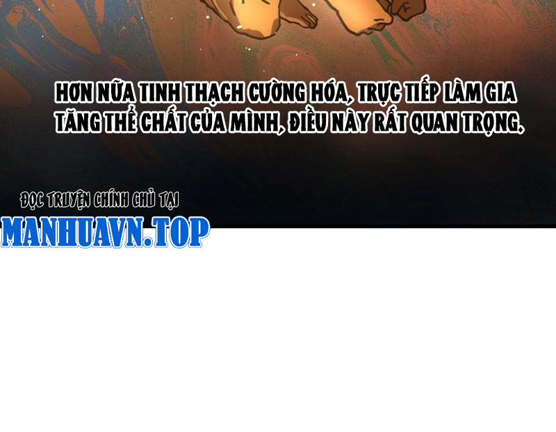 Toàn Cầu Ngự Thú: Ta Có Thể Thấy Lộ Tuyến Tiến Hoá: Chapter 2