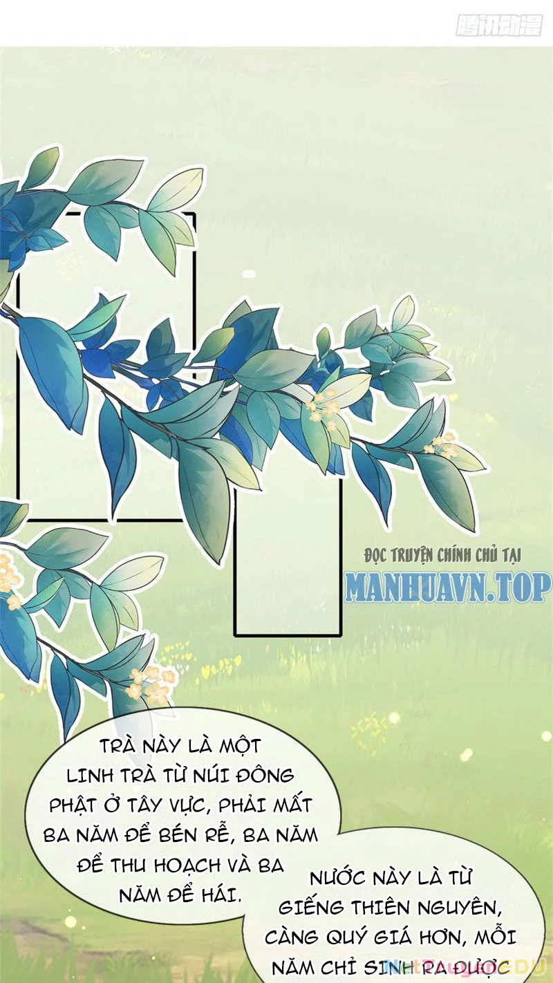 Tôi Có Thể Nuốt Chửng Vạn Vật: Chapter 29
