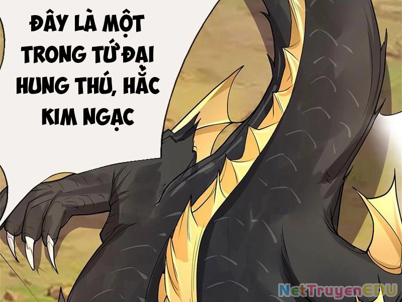 Tôi Có Thể Nuốt Chửng Vạn Vật: Chapter 31