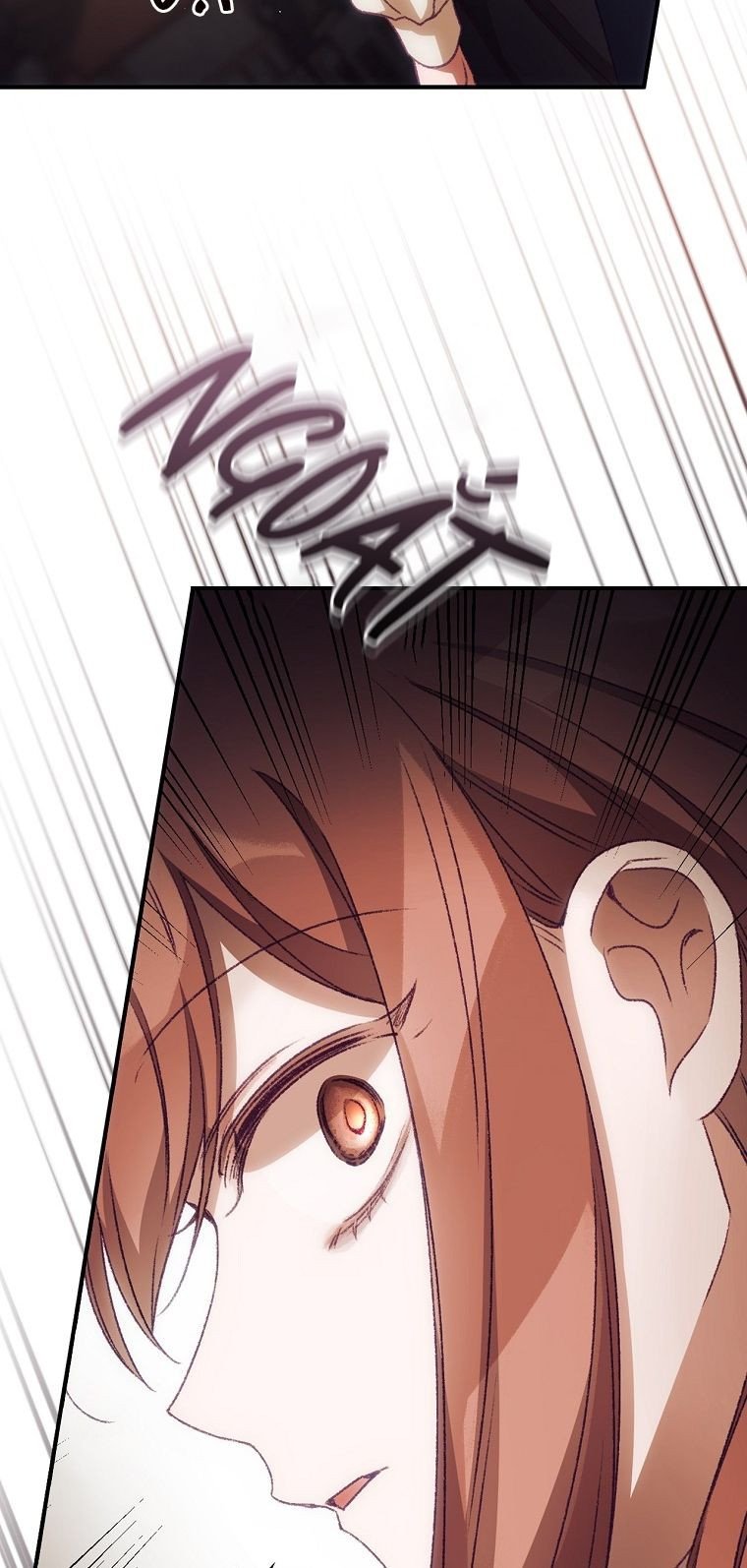 Tôi Có Thể Thấy Cái Chết Của Bạn: Chapter 17.5