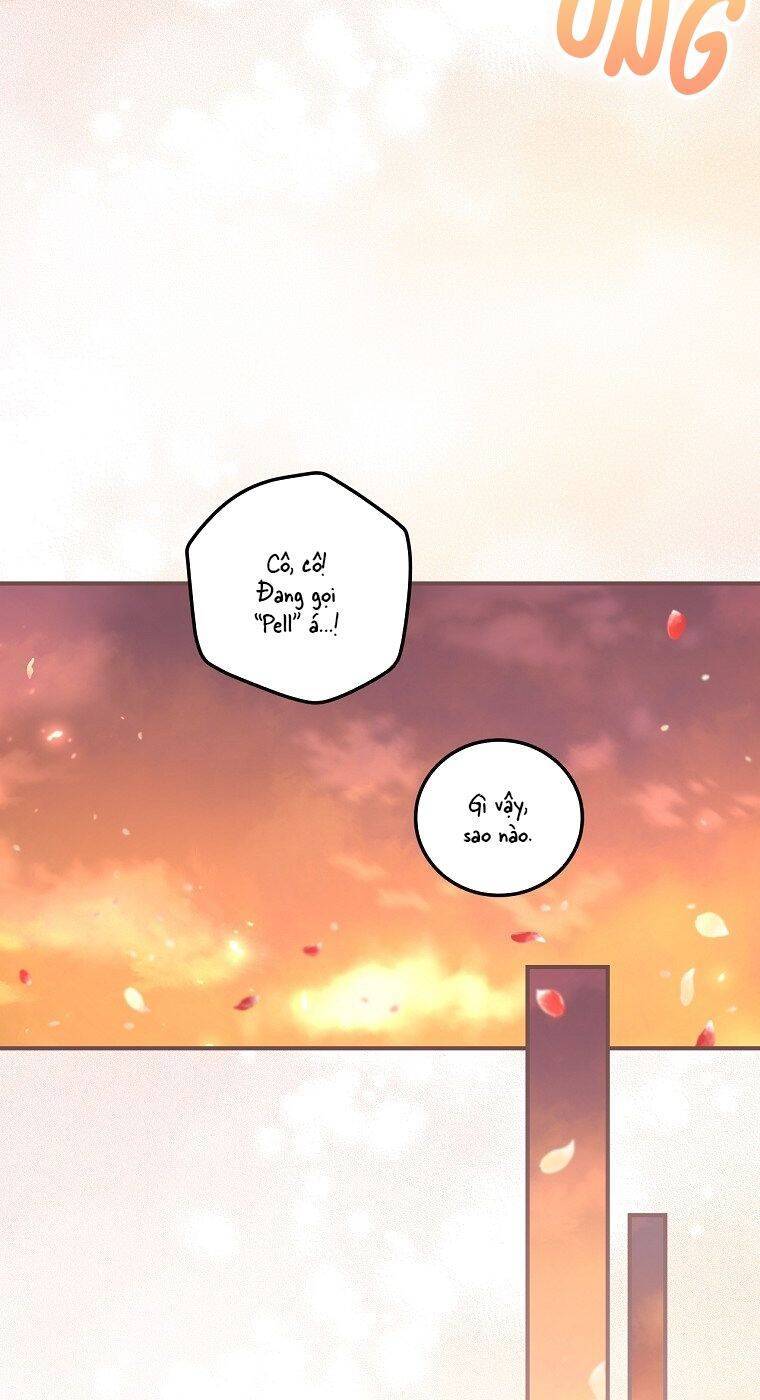 Tôi Có Thể Thấy Cái Chết Của Bạn: Chapter 33