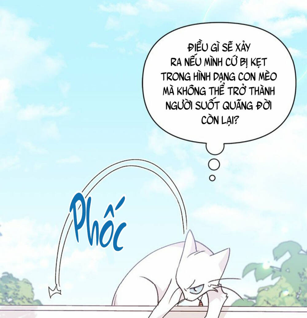 Tôi Đã Có Chồng Sau Khi Nhặt Được Nam Chính: Chapter 47