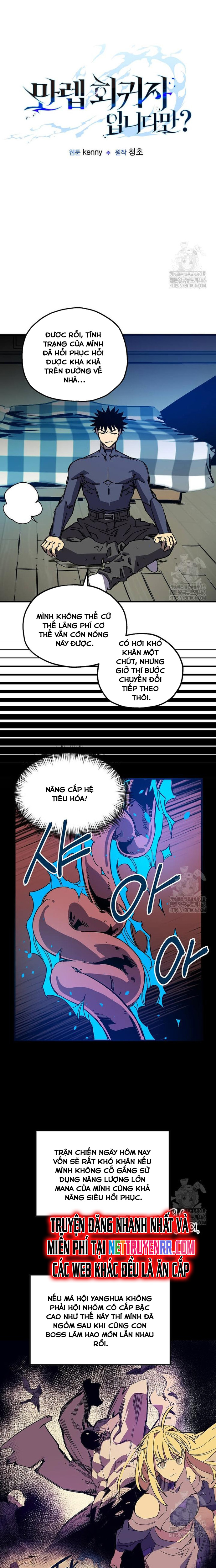 Tôi Đã Đạt Đến Cấp Độ Tối Đa Và Quay Trở Lại: Chapter 17