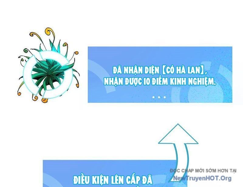 Tôi Dùng Hệ Thống Đỉnh Cấp Tái Tạo Thế Giới: Chapter 13