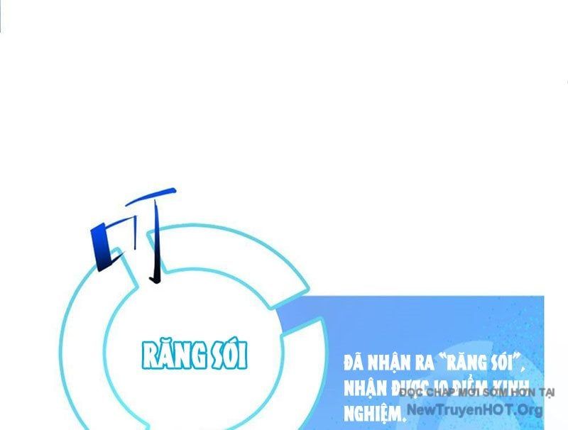 Tôi Dùng Hệ Thống Đỉnh Cấp Tái Tạo Thế Giới: Chapter 13