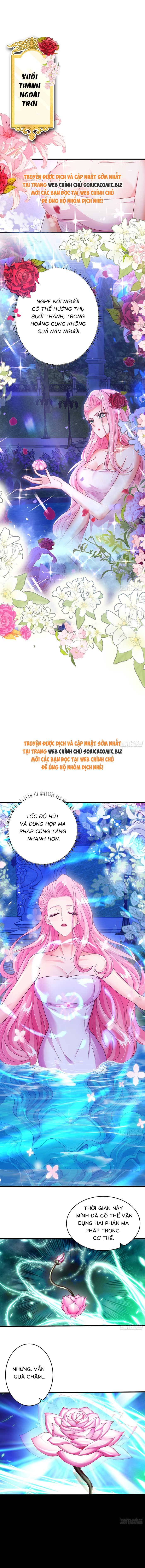 Tôi Hiến Tế Thân Mình Cho Em Gái Song Sinh: Chapter 11