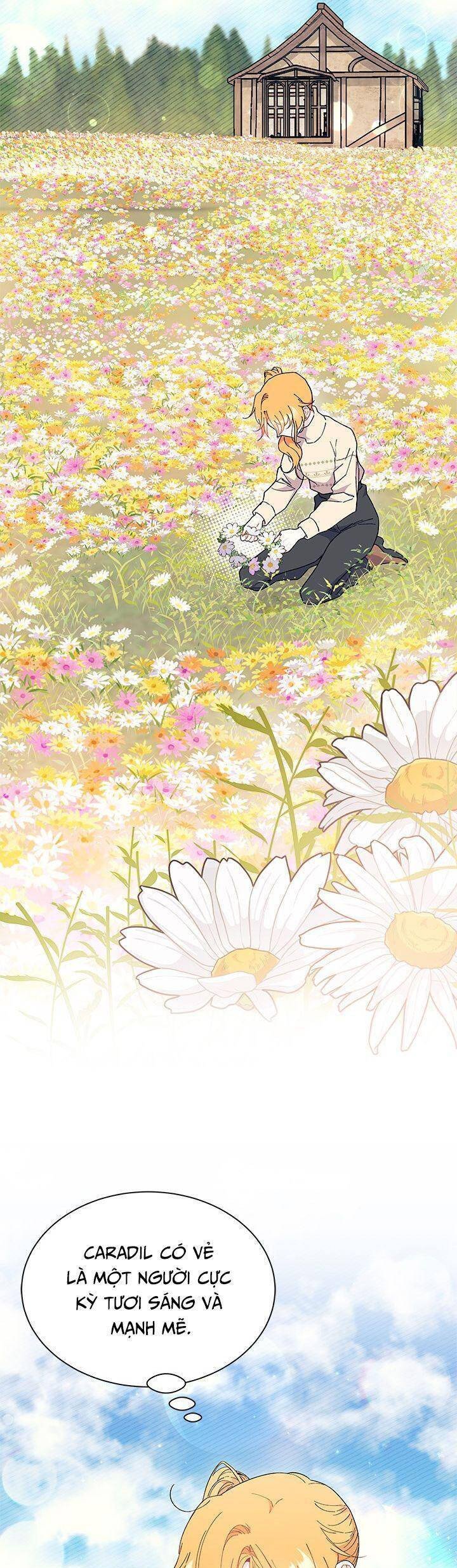 Tôi Không Muốn Làm Người Mai Mối: Chapter 78