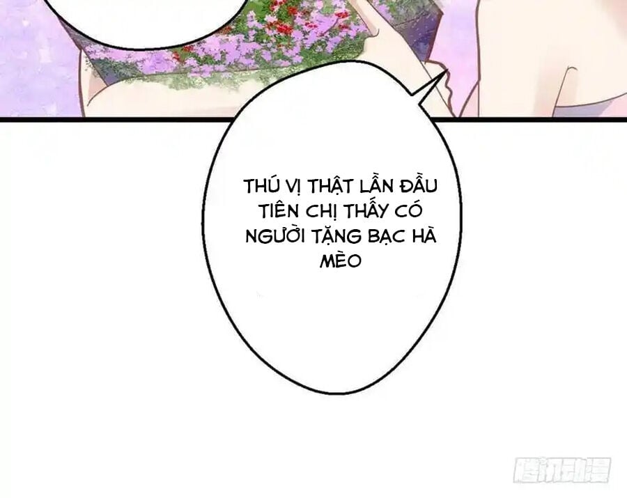 Tôi Không Phải Nữ Phụ Ác Độc: Chapter 105