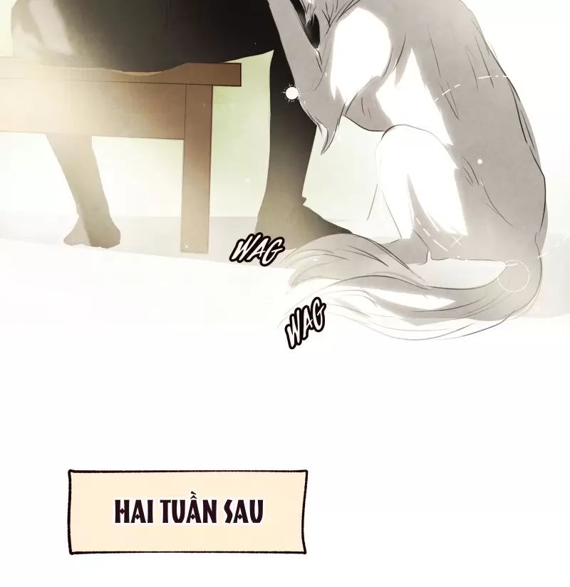 Tôi Là Kẻ Phản Diện: Chapter 13