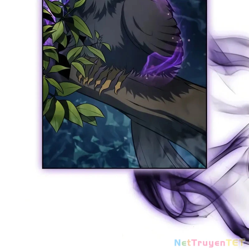 Tôi Là Tân Thủ Có Cấp Cao Nhất: Chapter 190