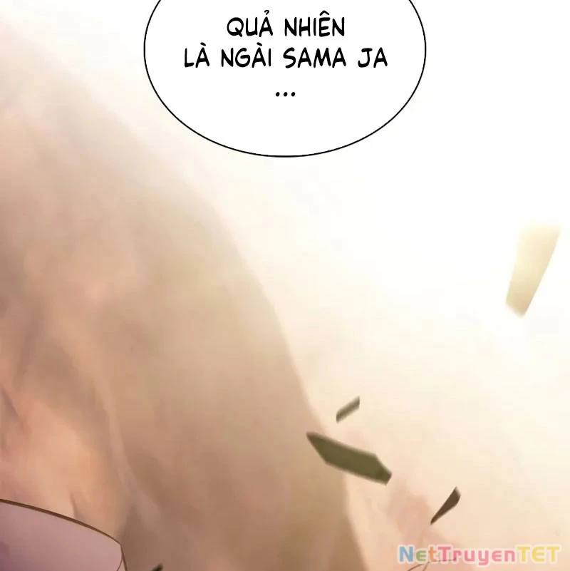 Tôi Là Tân Thủ Có Cấp Cao Nhất: Chapter 190