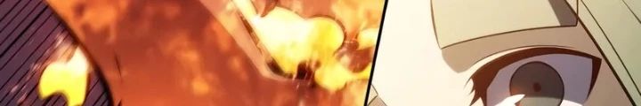 Tôi Là Tân Thủ Có Cấp Cao Nhất: Chapter 204