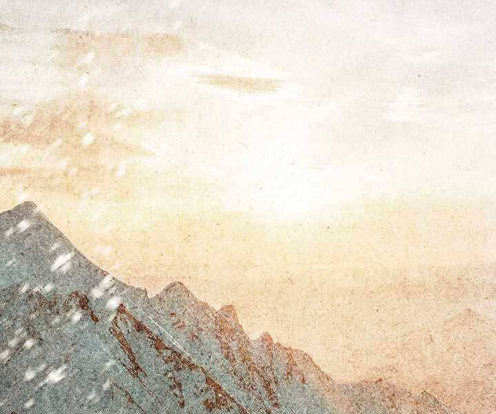 Tôi Là Thợ Săn Có Kĩ Năng Tự Sát Cấp Sss: Chapter 74