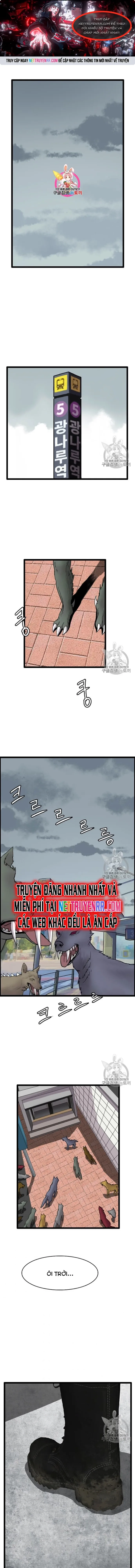 Tôi Nhặt Được Điện Thoại Từ Thế Giới Khác: Chapter 40