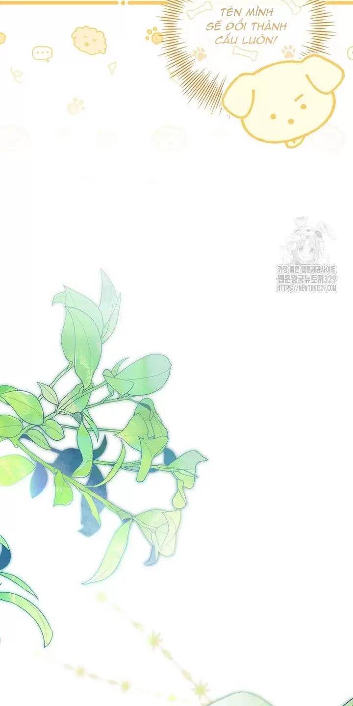 Tôi Phải Mau Chóng Kết Hôn Vì Thời Gian Có Hạn: Chapter 31