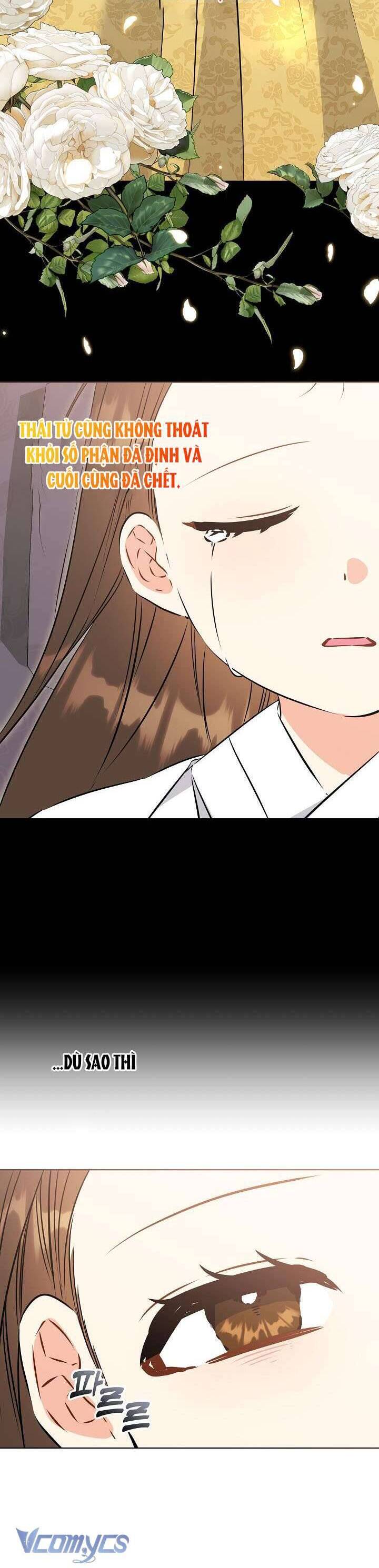 Tôi Sinh Ra Là Con Gái Của Một Thứ Phi Thấp Hèn: Chapter 33