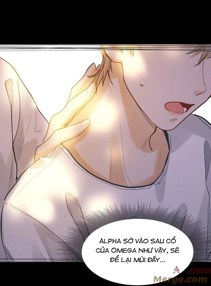 Tôi Thích Pheromone Của Cậu: Chapter 32