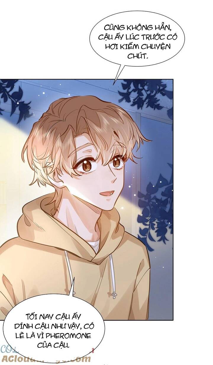 Tôi Thích Pheromone Của Cậu: Chapter 36