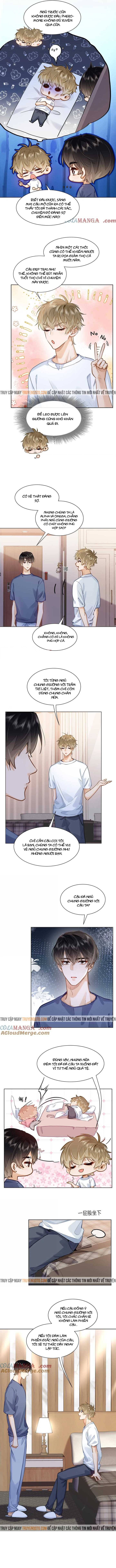 Tôi Thích Pheromone Của Cậu: Chapter 41