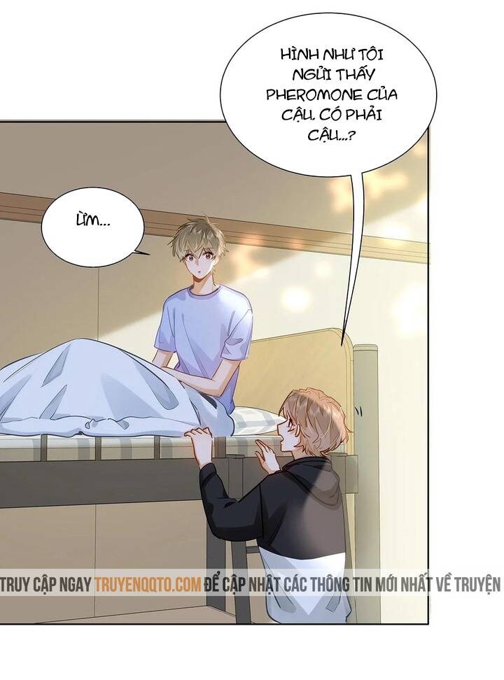 Tôi Thích Pheromone Của Cậu: Chapter 49