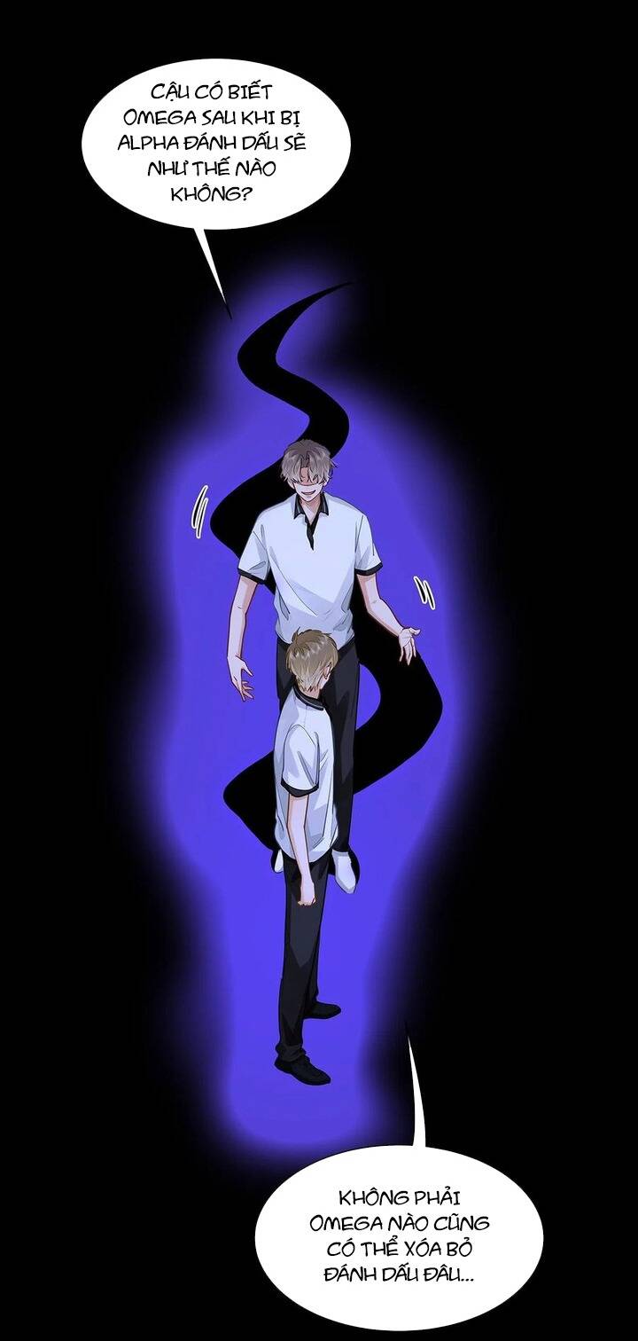 Tôi Thích Pheromone Của Cậu: Chapter 49