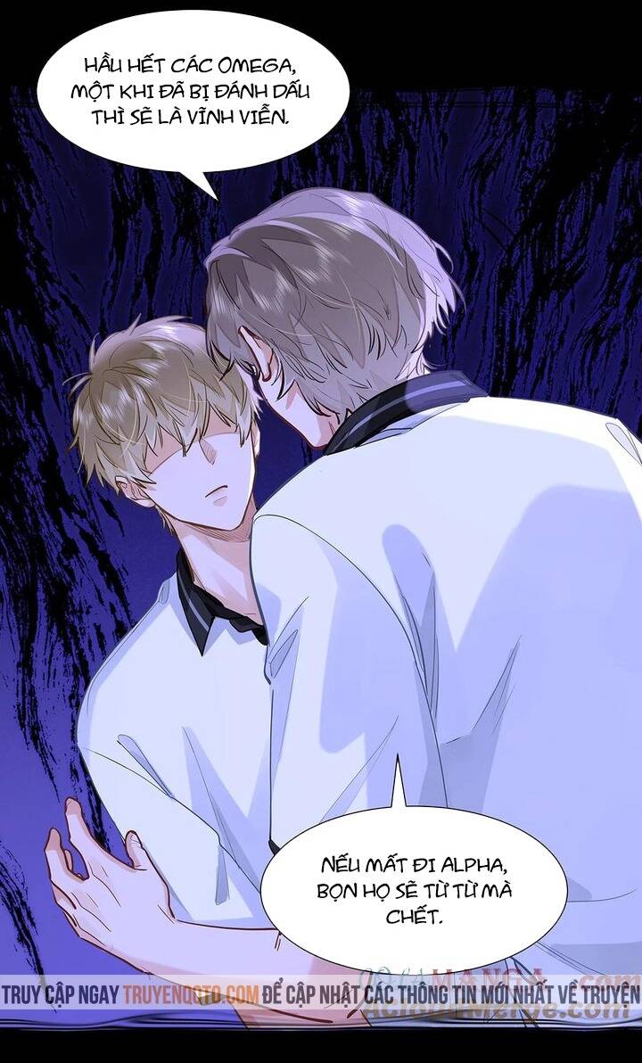 Tôi Thích Pheromone Của Cậu: Chapter 49