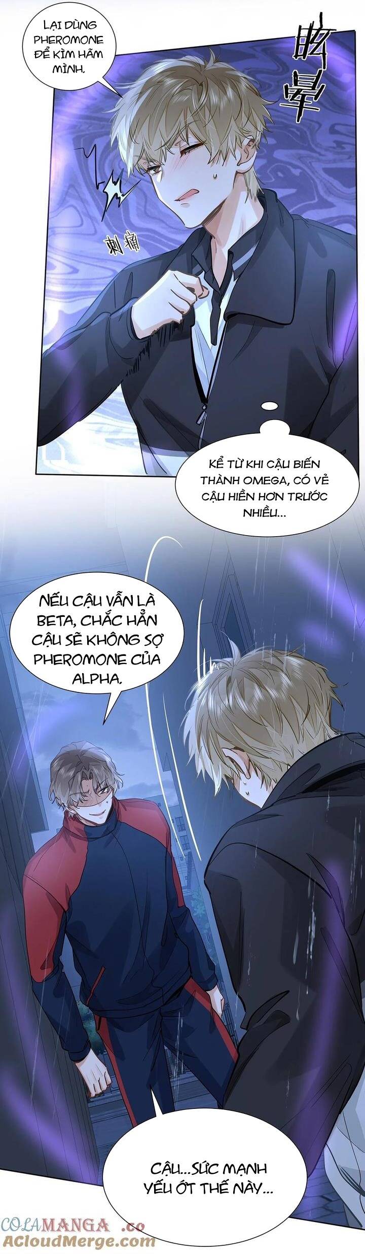Tôi Thích Pheromone Của Cậu: Chapter 51