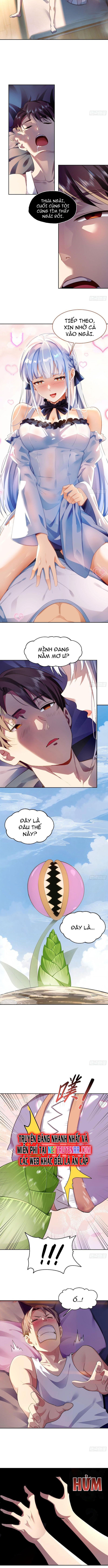 Tôi Trở Thành Đối Tượng Thu Thập Của Hậu Cung Dị Giới: Chapter 1