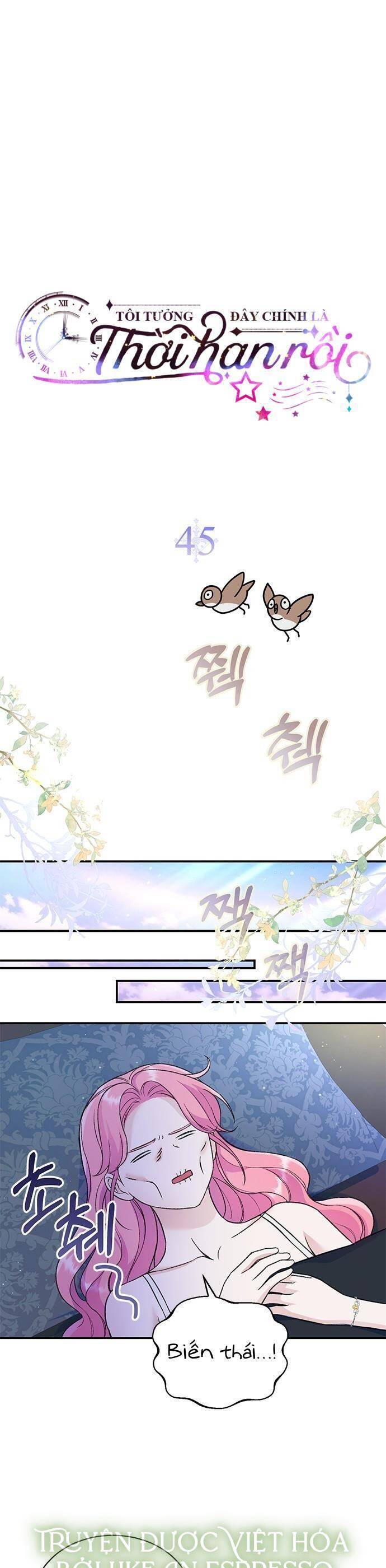 Tôi Tưởng Đây Chính Là Thời Hạn Rồi!: Chapter 45