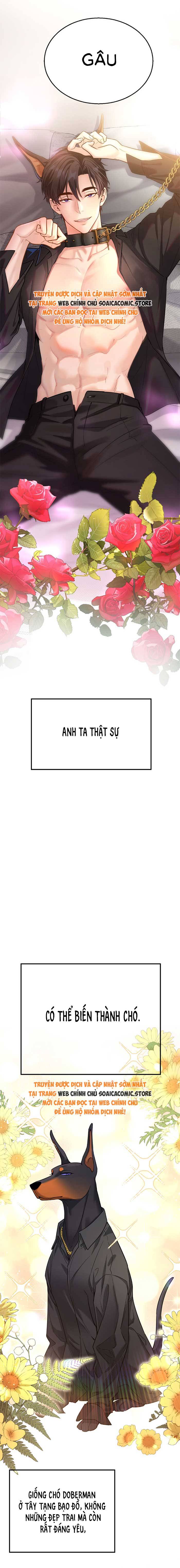 Tổng Tài Chó: Chapter 0