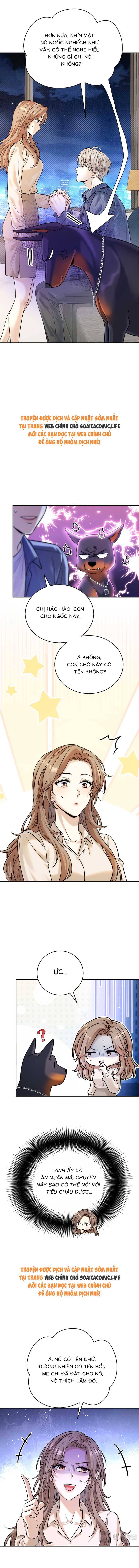 Tổng Tài Chó: Chapter 12