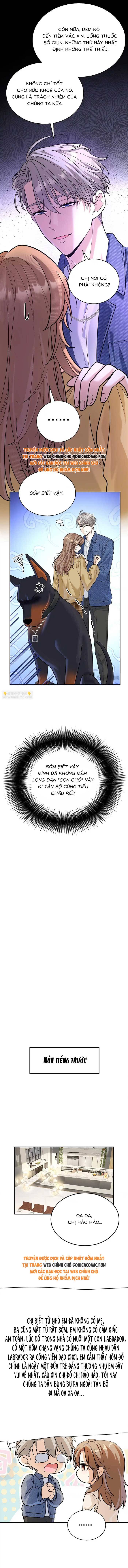 Tổng Tài Chó: Chapter 13