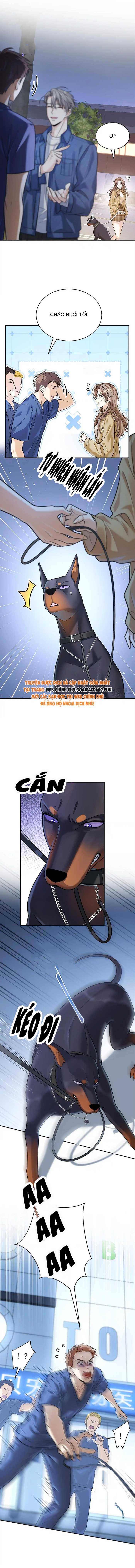 Tổng Tài Chó: Chapter 13