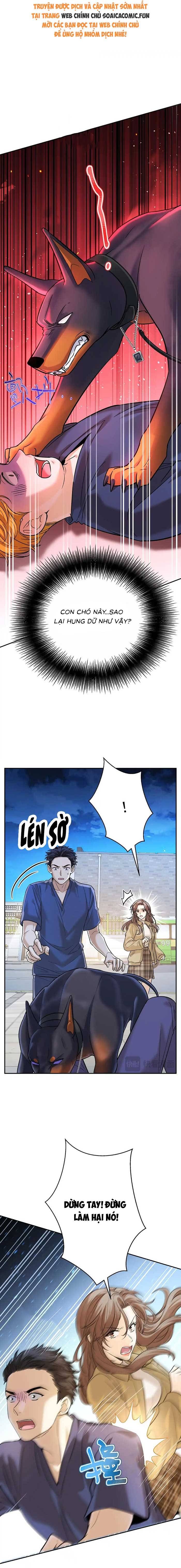 Tổng Tài Chó: Chapter 13