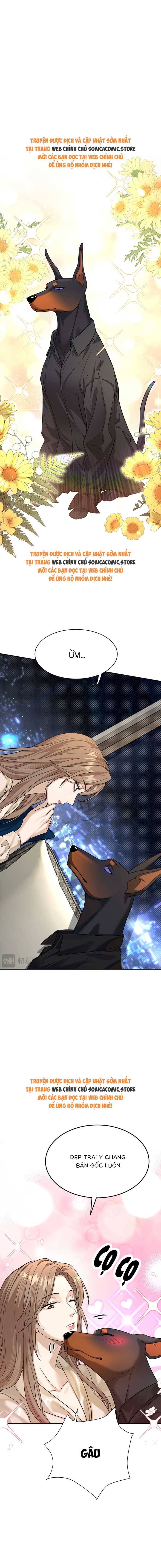 Tổng Tài Chó: Chapter 4