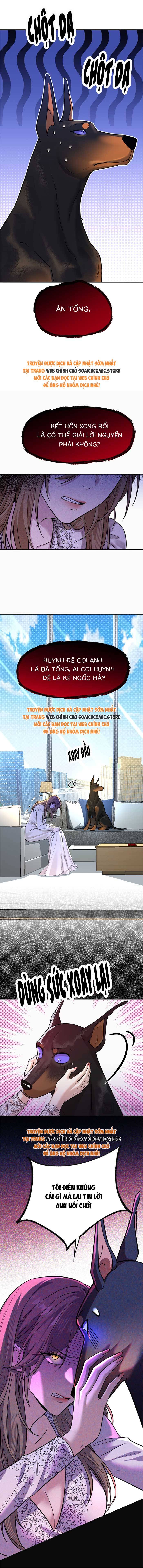 Tổng Tài Chó: Chapter 4