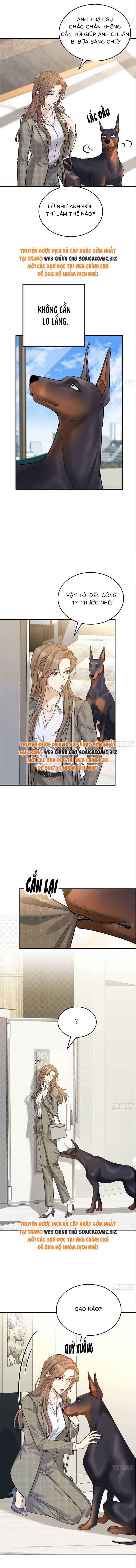 Tổng Tài Chó: Chapter 7