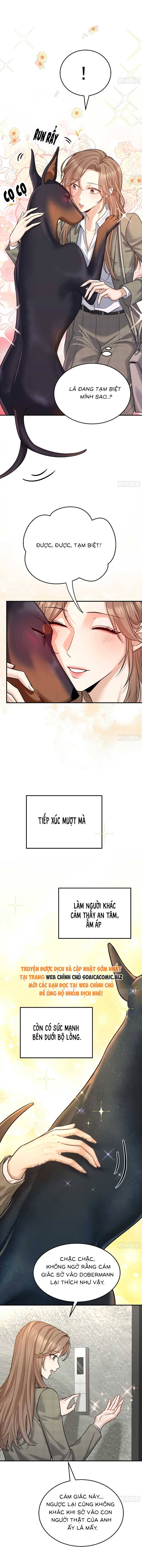 Tổng Tài Chó: Chapter 7