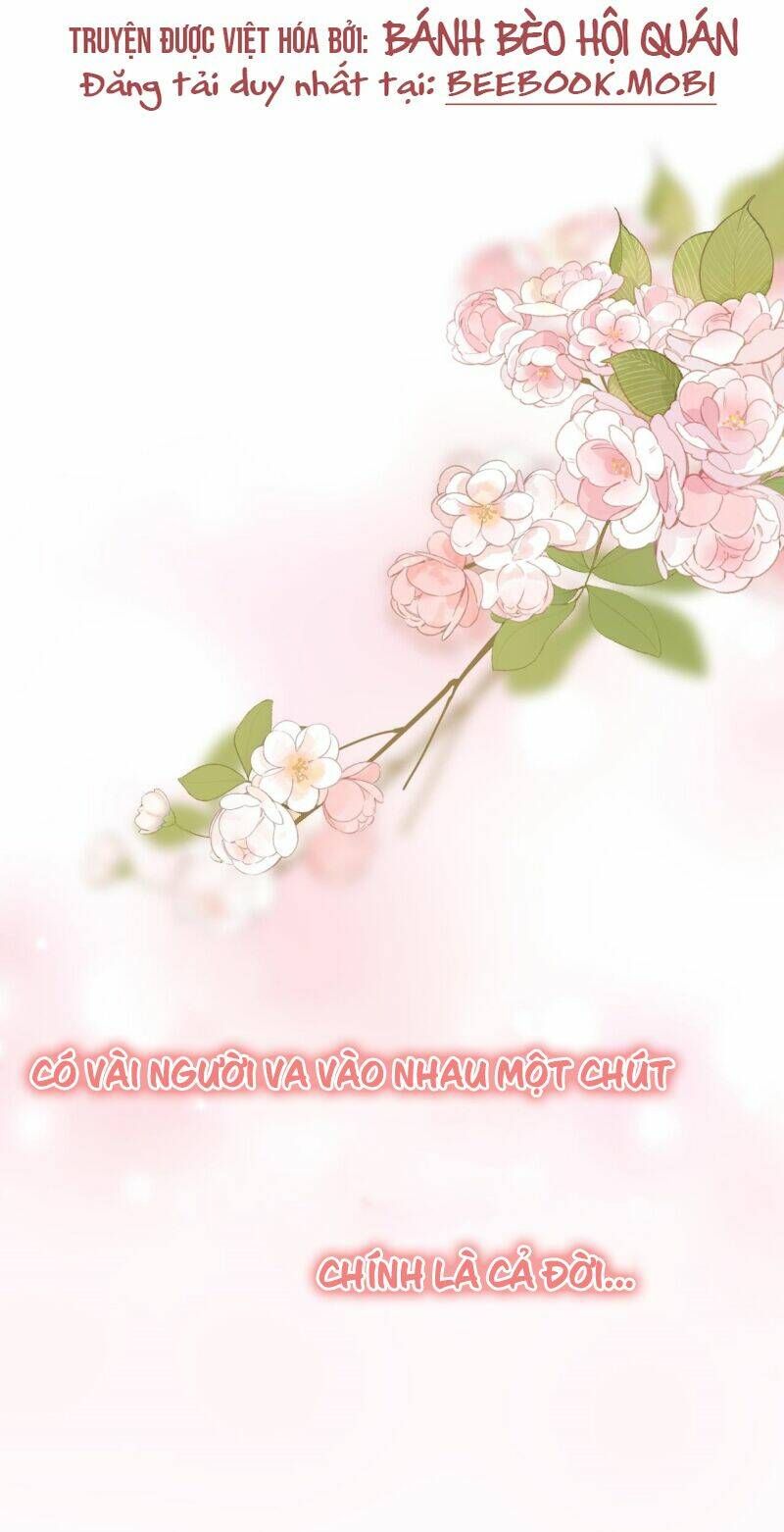 Tổng Tài Đuổi Vợ Lại Khóc Lóc Cầu Xin Vợ Quay Lại: Chapter 0